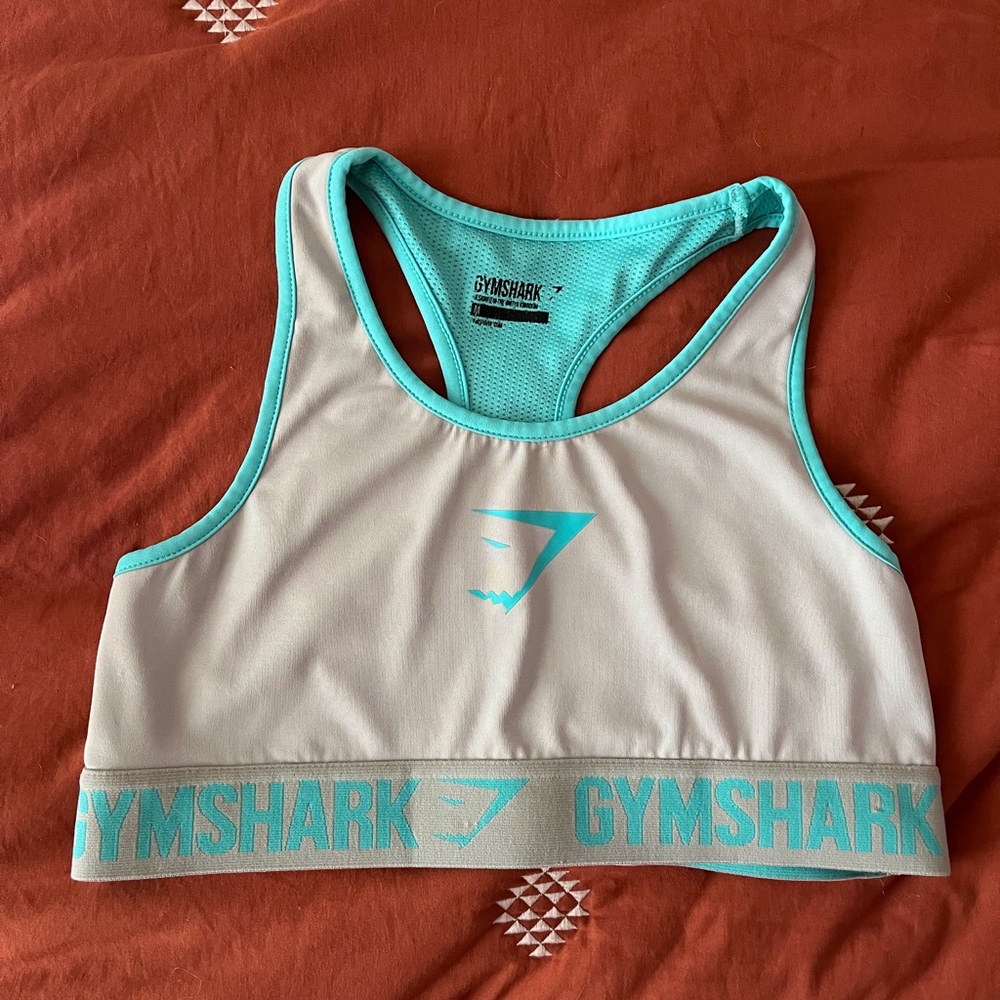 Turquoise Gray Medium Gym Shark Sportsbra